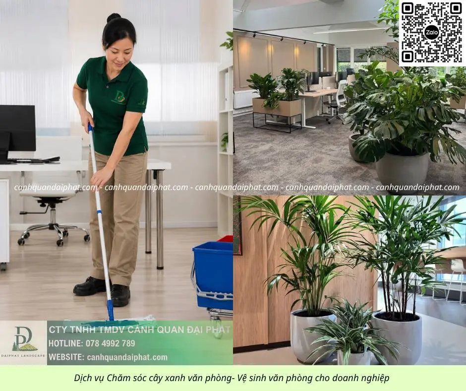 Chăm sóc cây xanh văn phòng - vệ sinh văn phòng 090626 3.webp