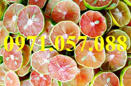 chanh đào3_result.webp