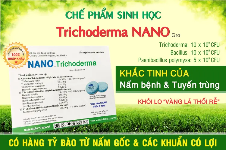 che pham trichoderma NANO.webp