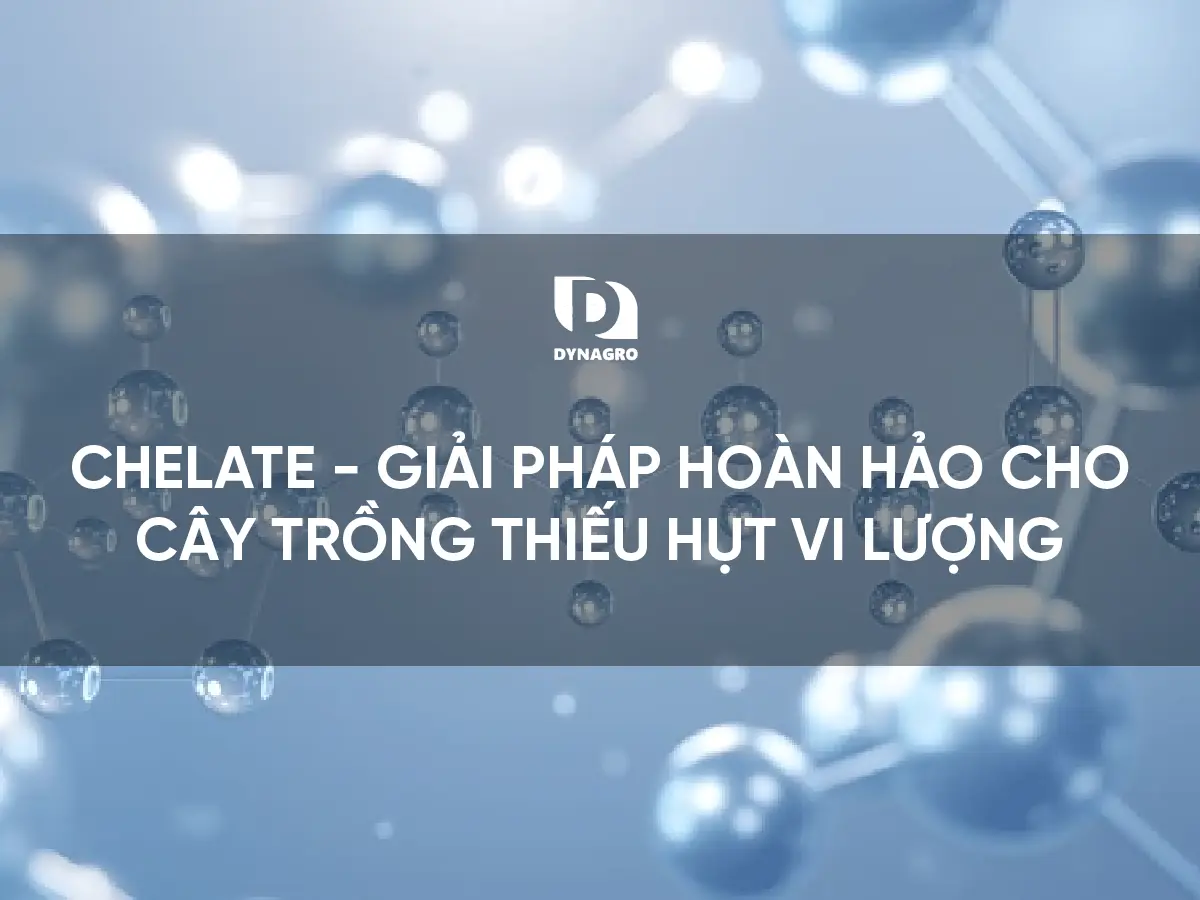 chelate-giai-phap-hoan-hao-cho-cay-trong-thieu-hut-vi-luong.webp