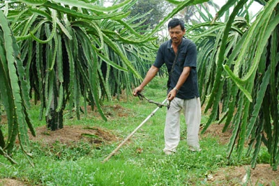 chi-50-000-dong-de-len-doi-cho-may-cat-co - Copy.webp