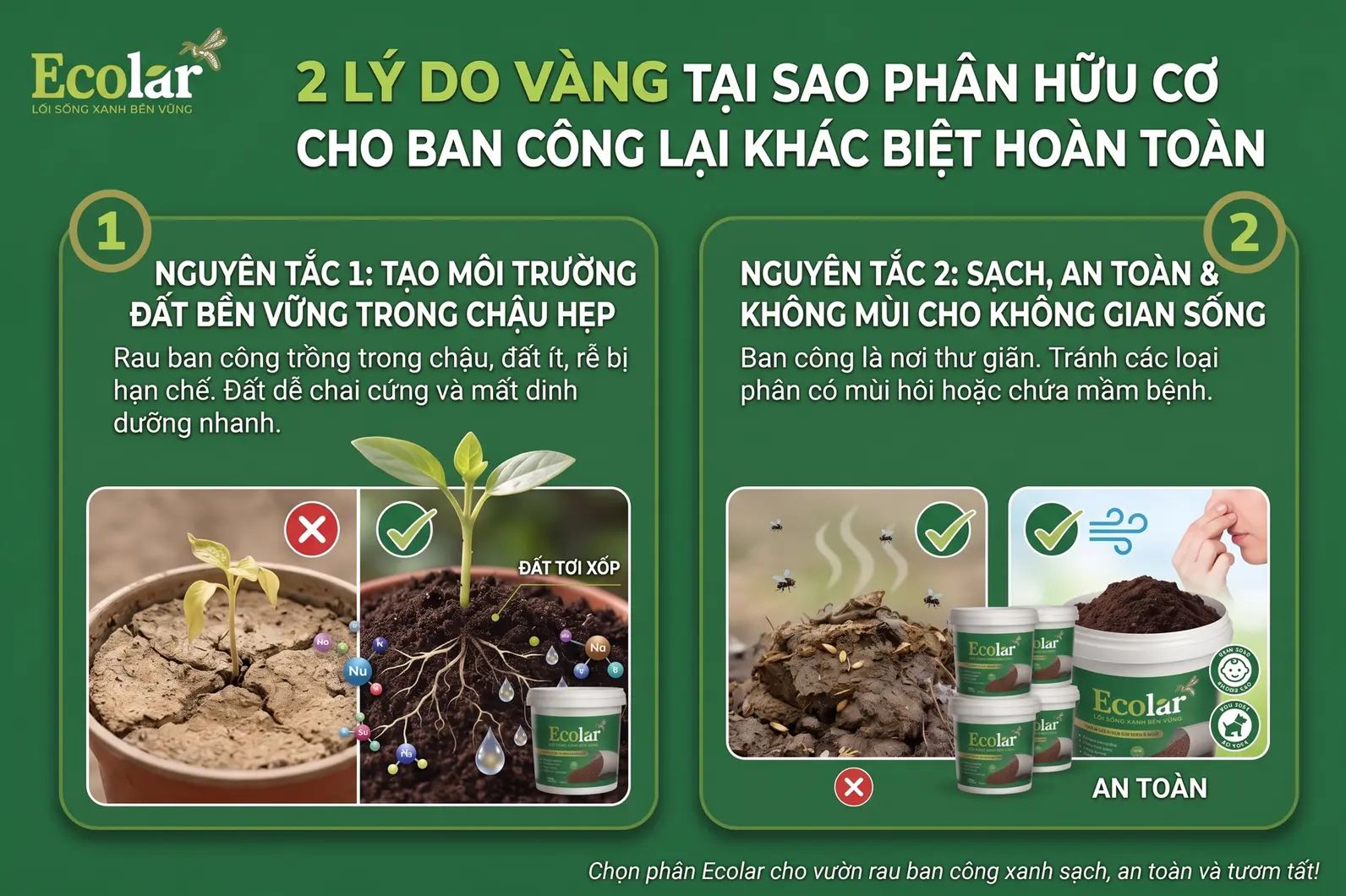-cho-ban-cong-lai-khac-biet-hoan-toan_6eec0c59e8b3483b8bdc410b5038bee6.webp