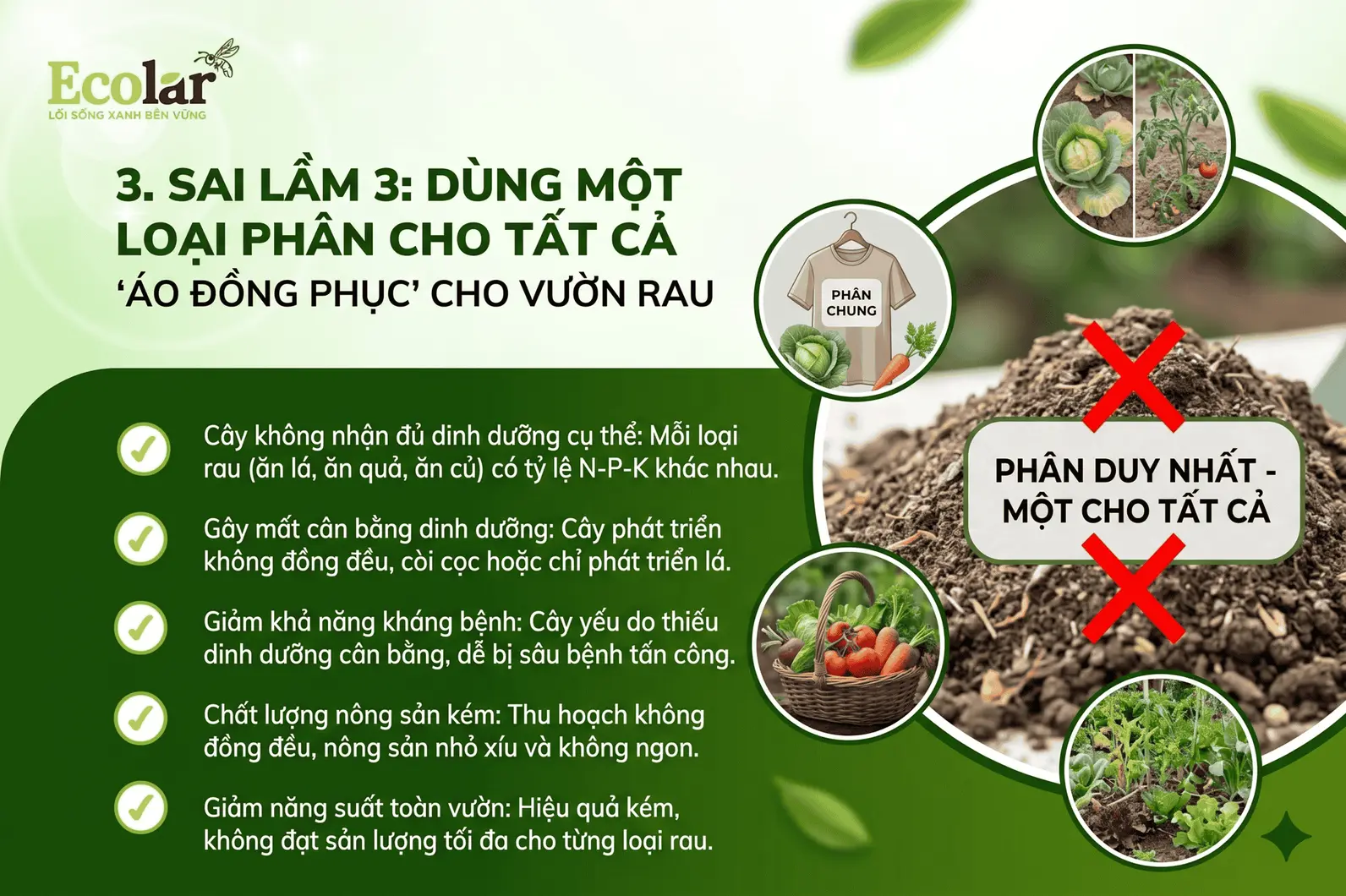 -cho-tat-ca-ao-dong-phuc-cho-vuon-rau_c1d95fe0f90b4f14a161bd5d53ba5f0d.webp