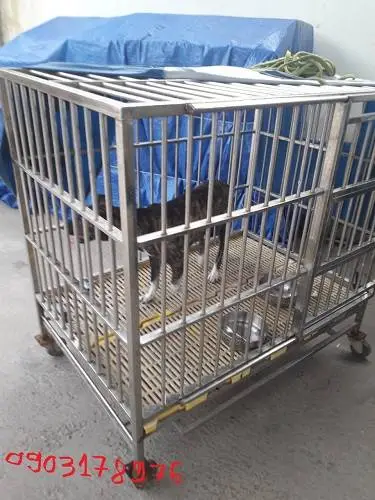 Chuông chó inox Trung Đức.webp