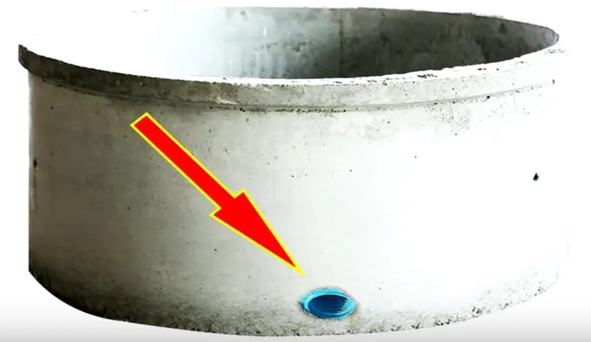 Hình ảnh Nuôi Ốc Đắng ở Thái Lan