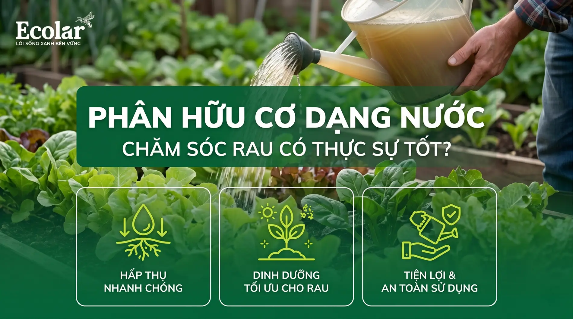 -co-dang-nuoc-cho-rau-co-tot-khong-phan-tich-tu-a-z-cho-nguoi-lam-vuon_9a9cda837c904a19aabfc7...webp