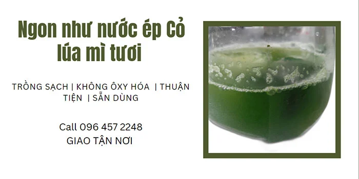 co-lua-mi-nuoc-tru-dong.webp