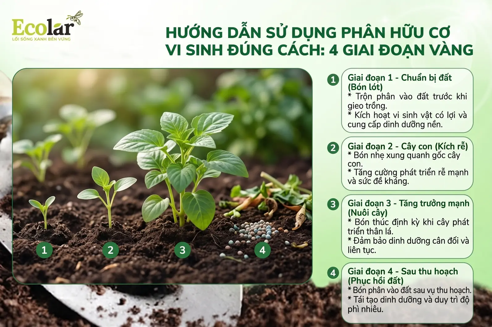 co-vi-sinh-dung-cach-4-giai-doan-vang_451a1fc9987f4a2388174fad8f876344.webp