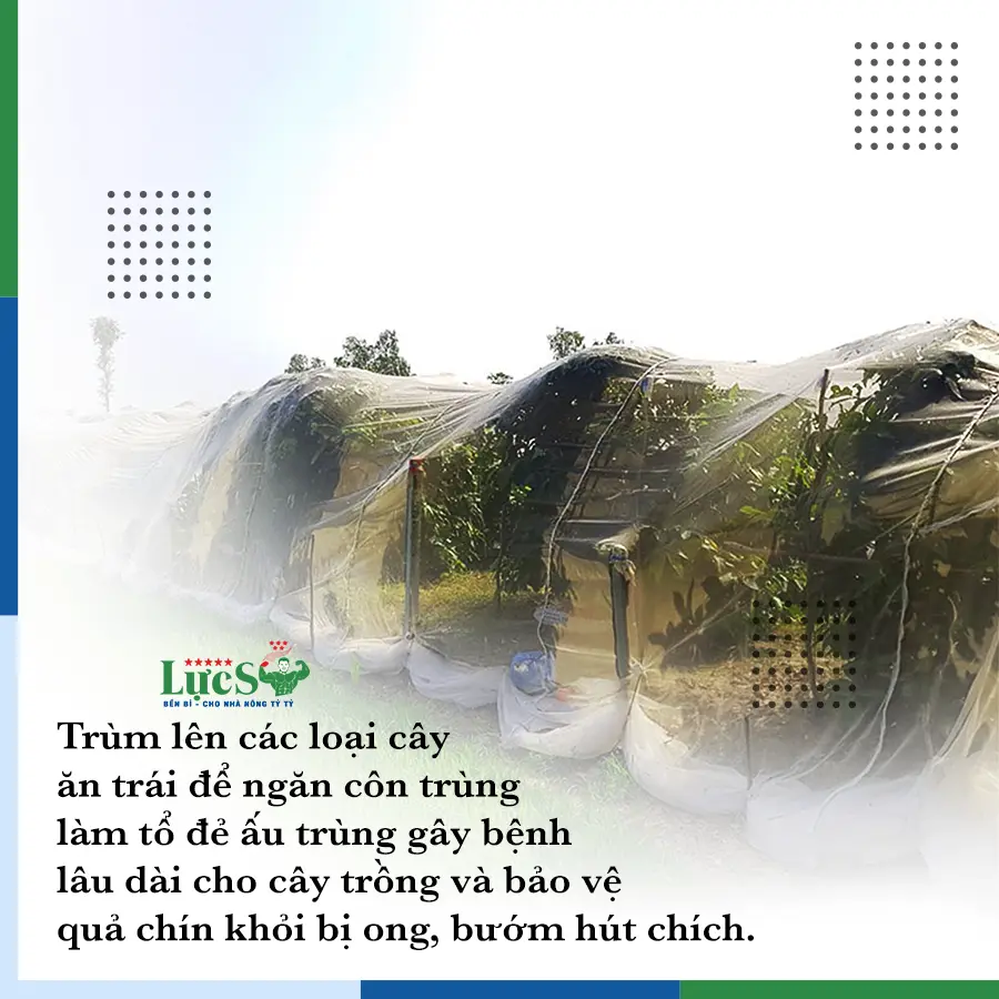 công dụng 1.webp công dụng 1.webp