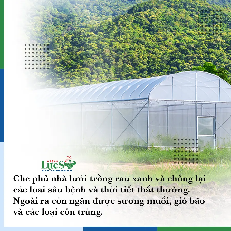 công dụng 2.webp công dụng 2.webp