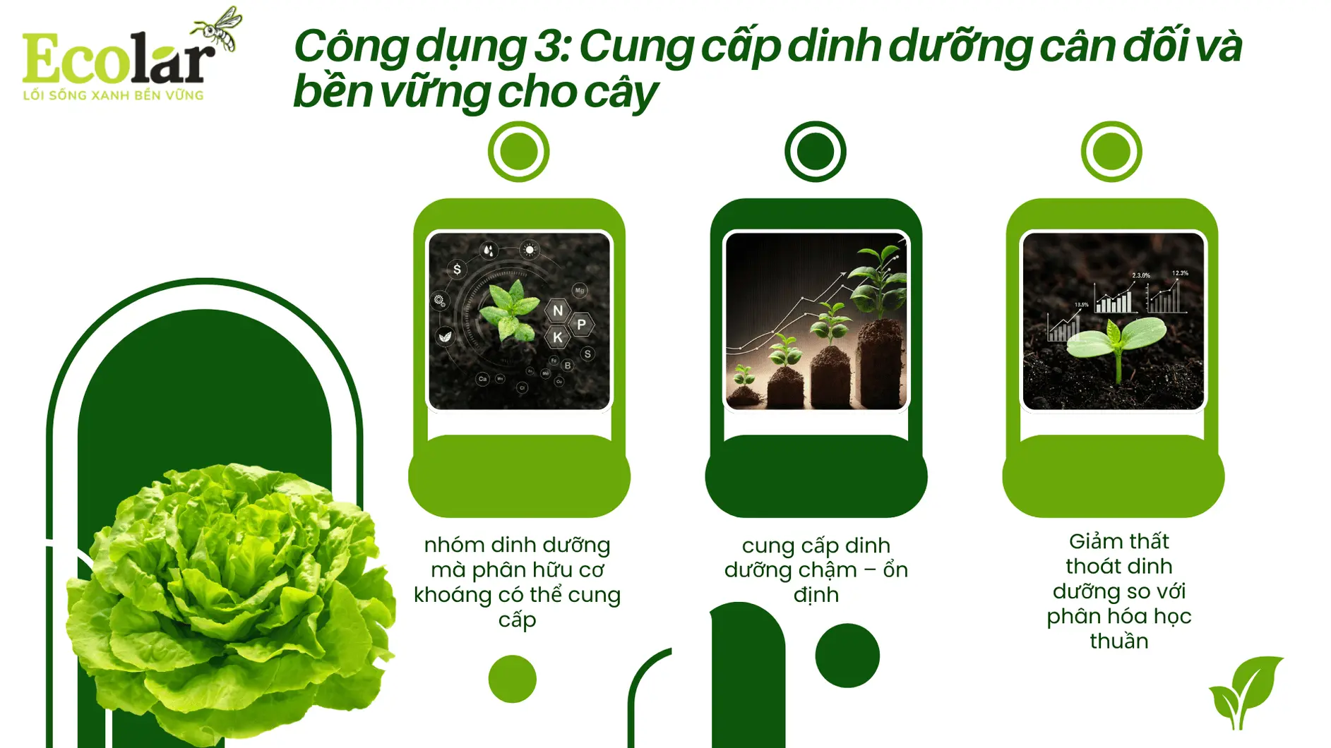 cong-dung-3-cung-cap-dinh-duong_216a2e946c5f4e0c927a4d45c2e7b6b7.webp