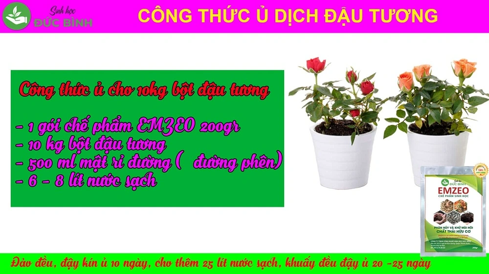 Công thức ủ đậu nành làm phân bón hữu cơ cho cây trồng.webp