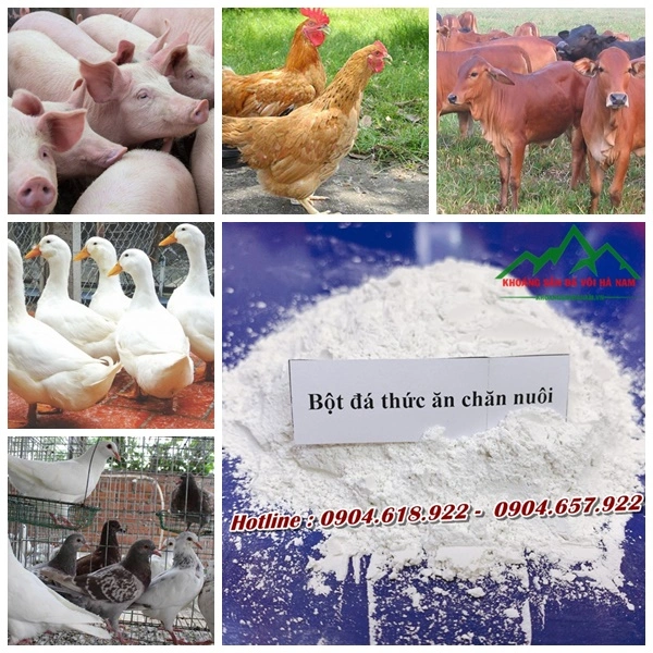 Cong-ty-Khoang-San-Da-Voi-Ha-Nam .webp