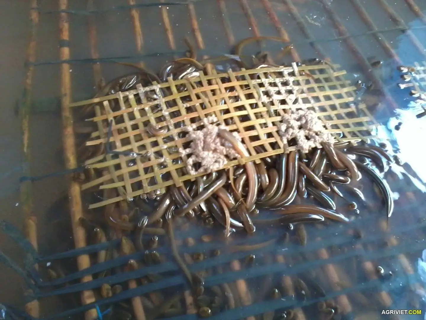 Copy (2) of 2014-03-30 15.41.03.webp