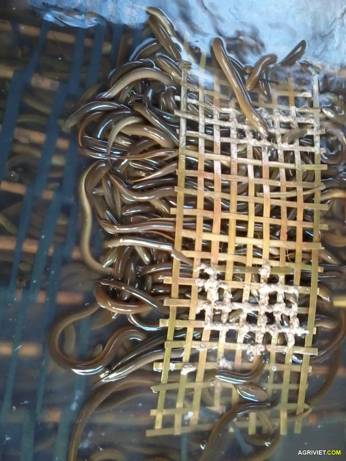 Copy (2) of Copy of 2014-03-30 15.37.36.webp