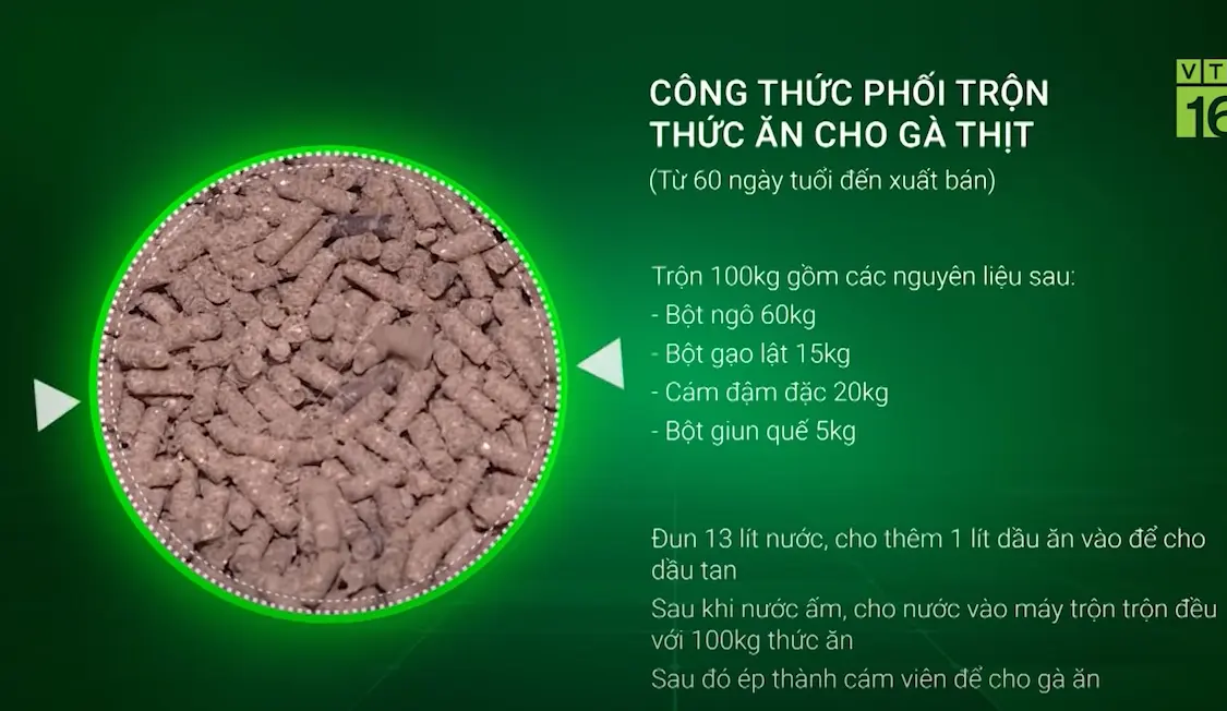 CTPT gà thịt.webp