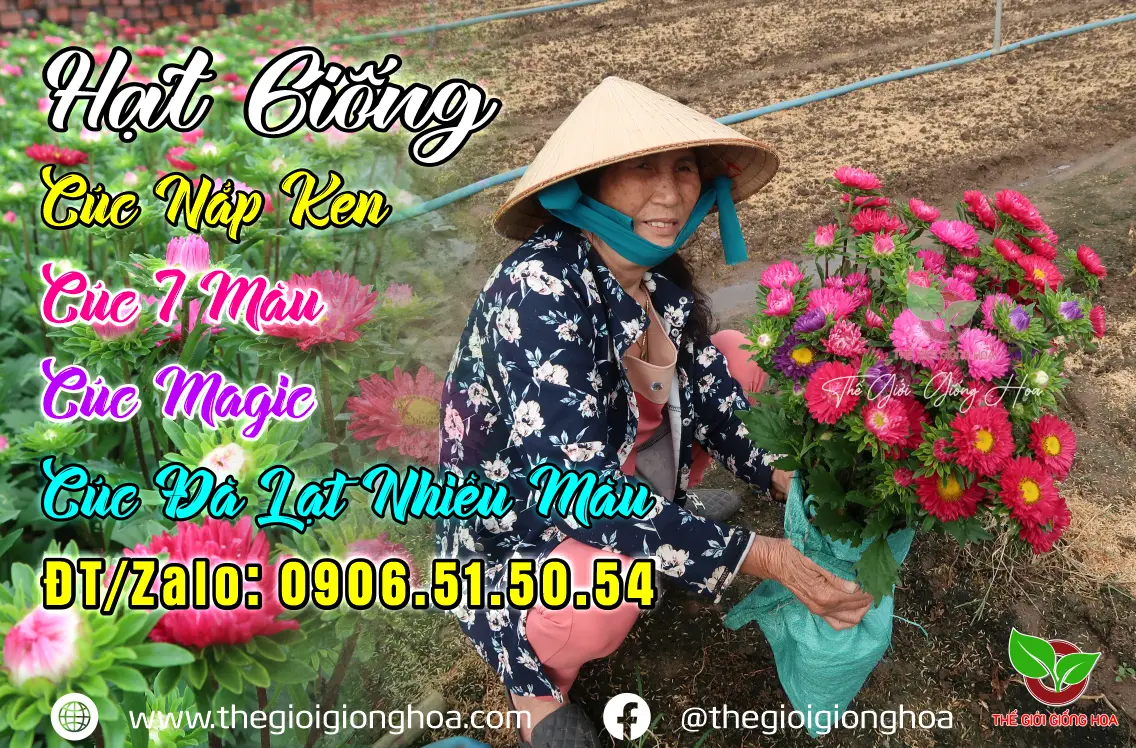 CUC 7 MAU 2023 ok.webp