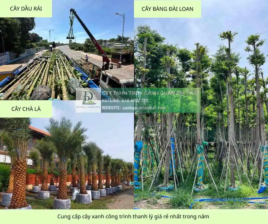 cung cấp cây xanh công trình giả rẻ nhất đồng nai 1.webp