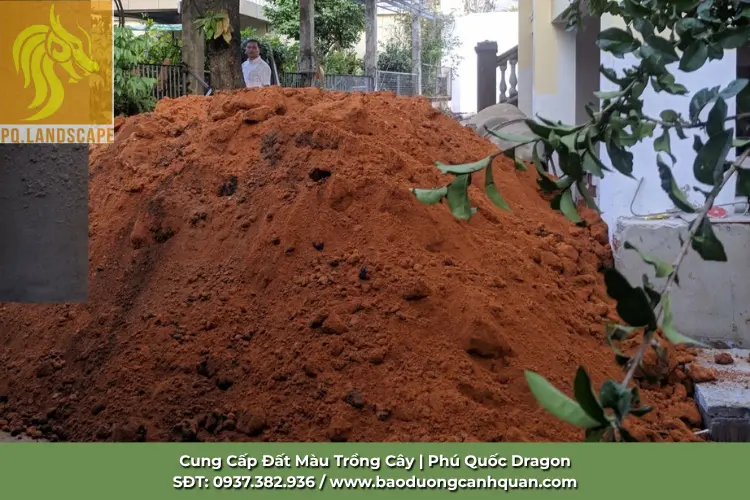 cung-cap-dat-mau-dong-nai-so-luong-lon.jpg.webp