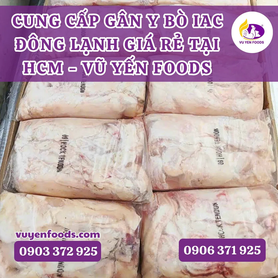 cung cấp gân y bò iac đông lạnh giá rẻ tại hcm vũ yến foods.webp