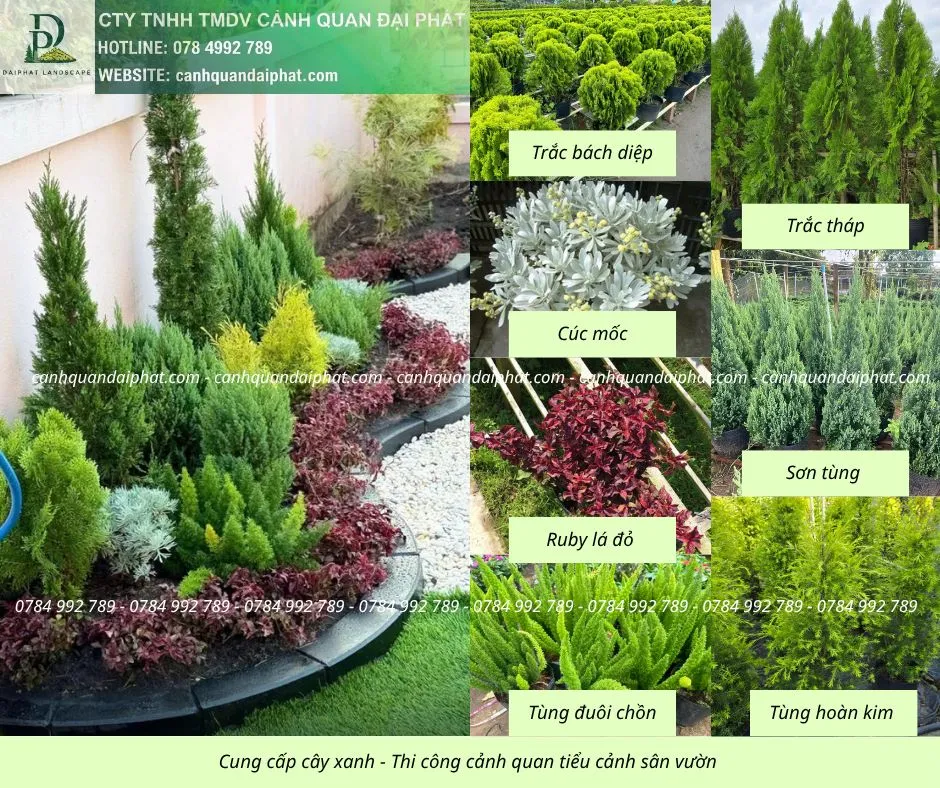 Cung cấp thi công tiểu cảnh sân vườn 210426 1.webp