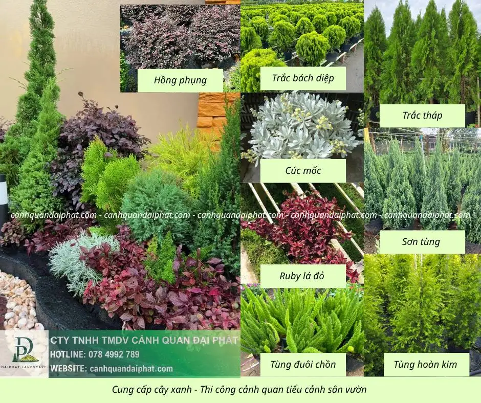 Cung cấp thi công tiểu cảnh sân vườn 210426 2.webp