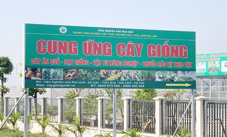 cungungcaygiong.jpg