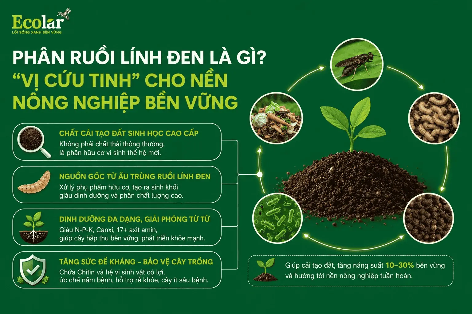 cuu-tinh-cho-nen-nong-nghiep-ben-vung_36641d0a00be434aacc0c18930b17414 (1).webp