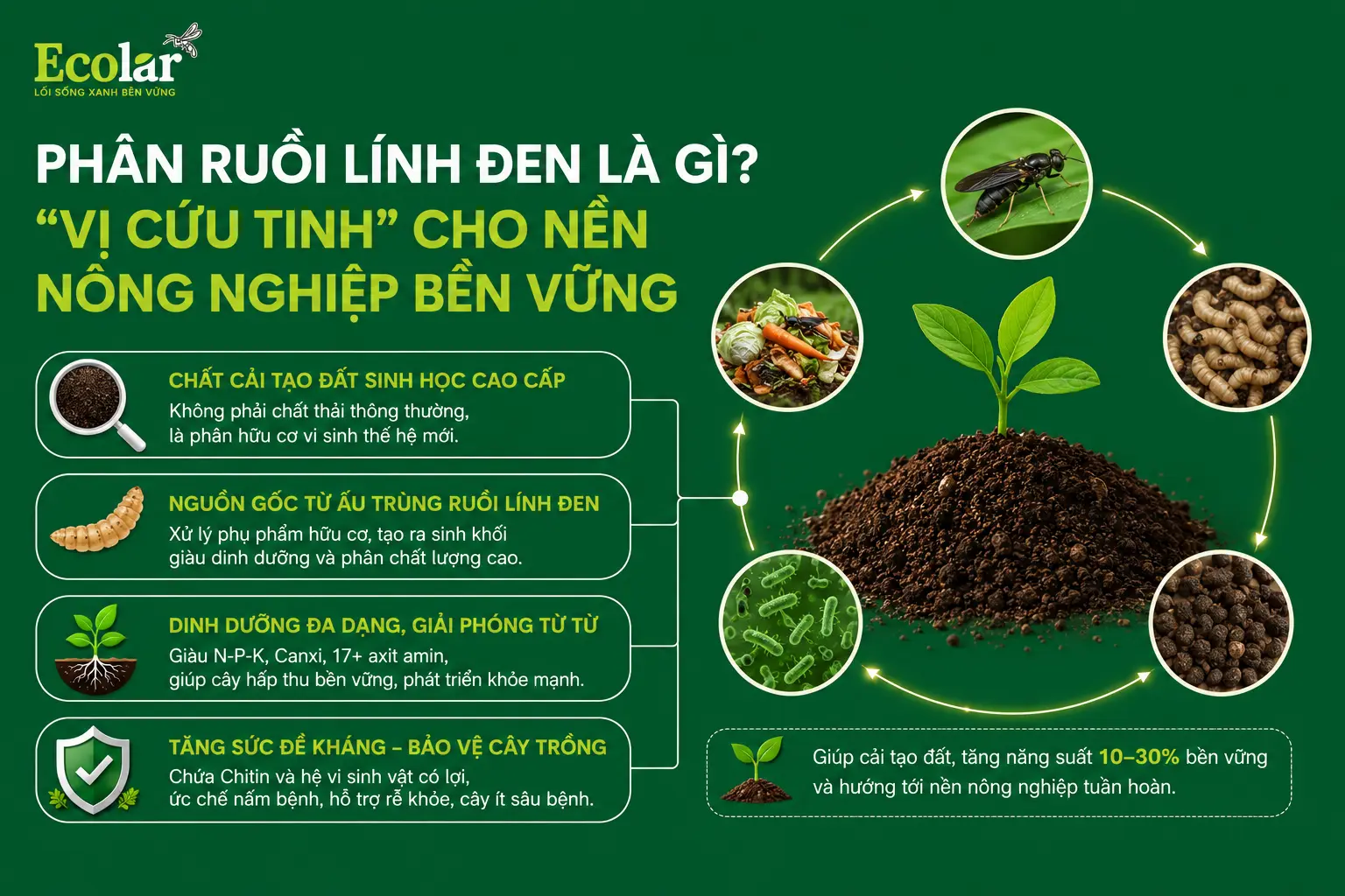 cuu-tinh-cho-nen-nong-nghiep-ben-vung_36641d0a00be434aacc0c18930b17414.webp