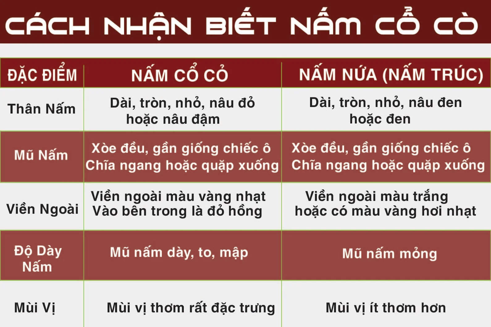 dac-diem-cua-nam-linh-chi-co-co-rung.webp