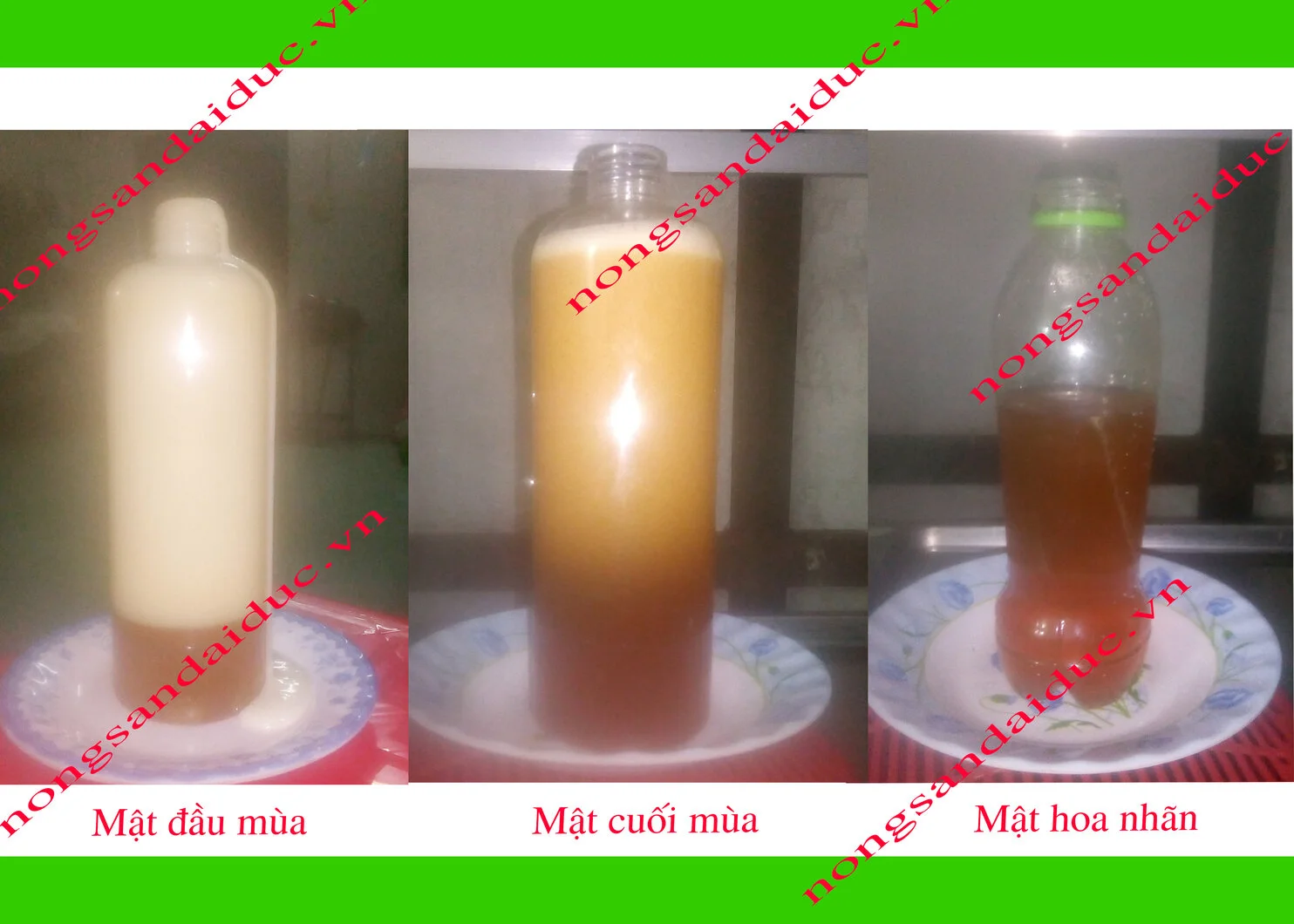 Doi-chieu-voi-mat-ong-nuoi