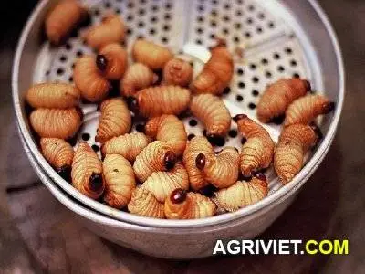 dac san duong dua.webp