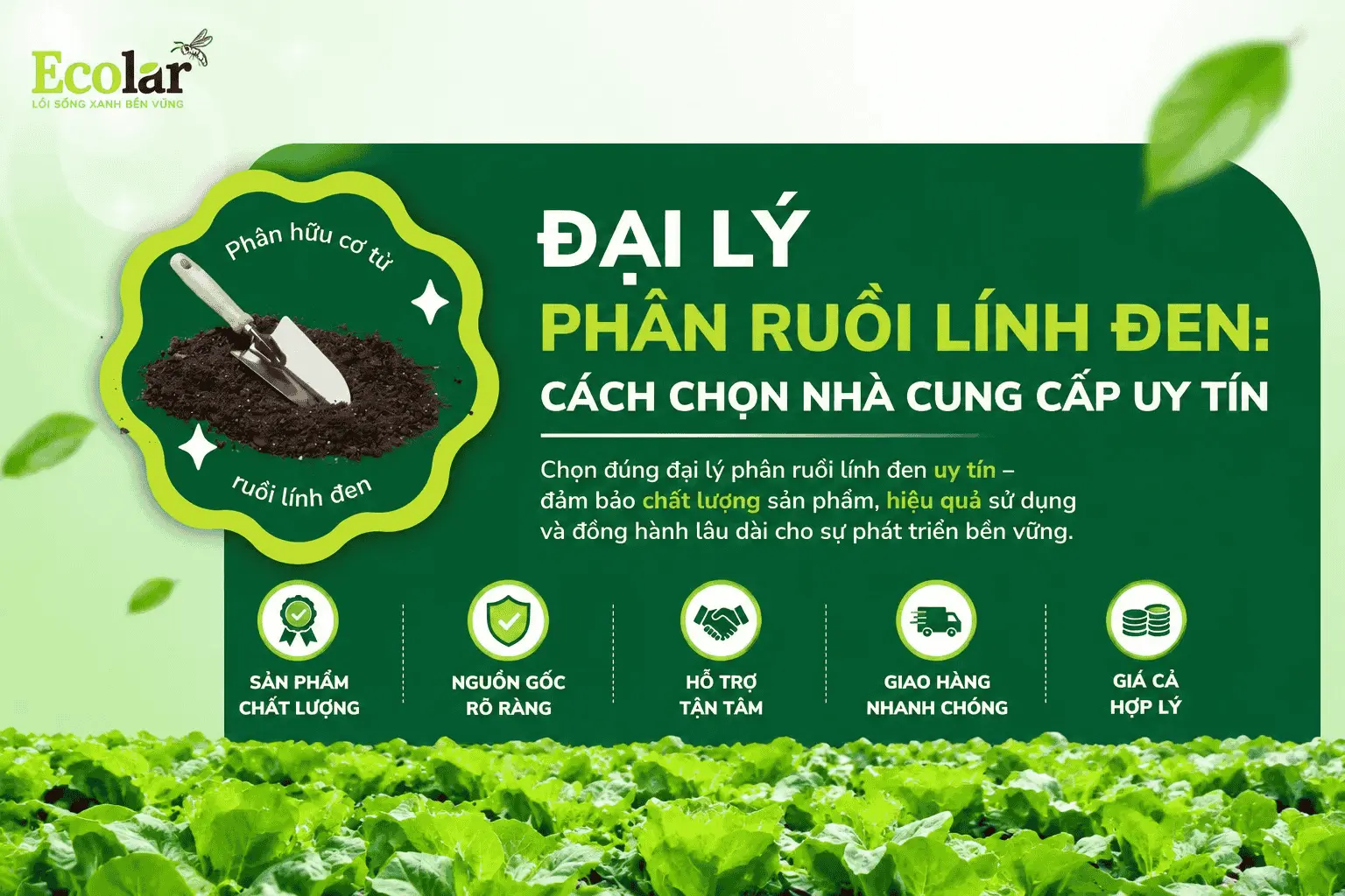 dai-ly-phan-ruoi-linh-den-cach-chon-nha-cung-cap-uy-tin.webp