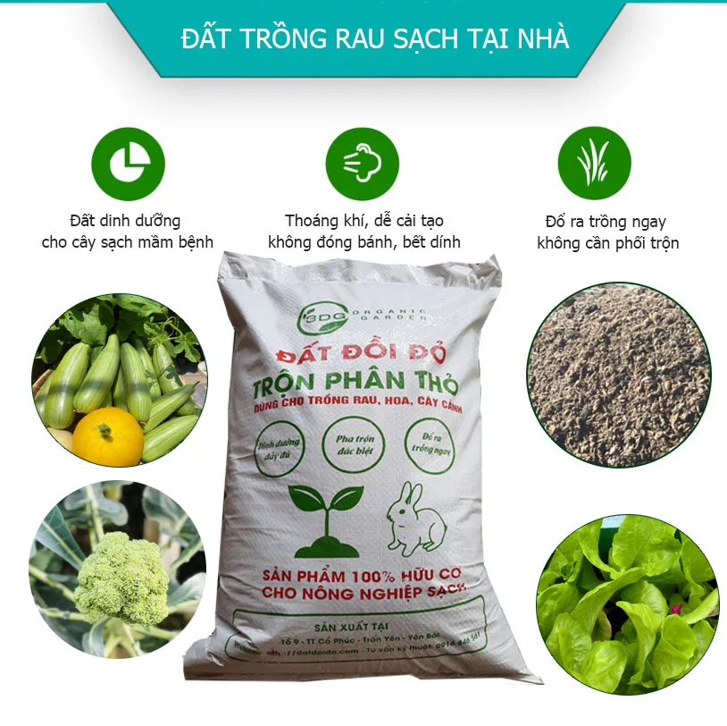 dat-dinh-duong-trong-rau.webp