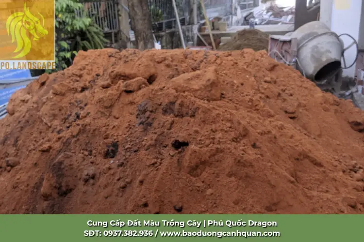dat-huu-co-trong-cay-tphcm.jpg.webp