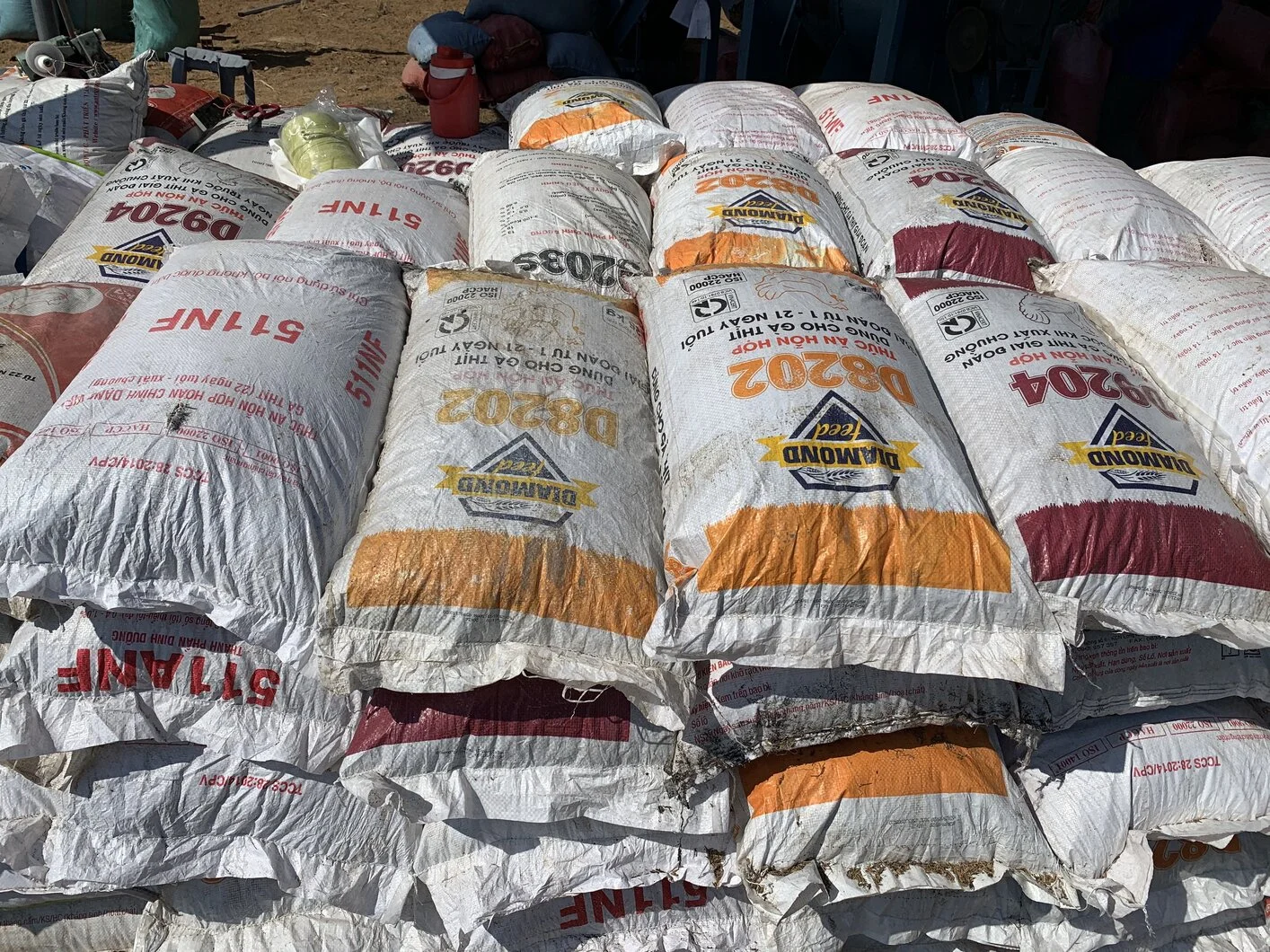 DAT SACH - DAT SINH 8.jpg