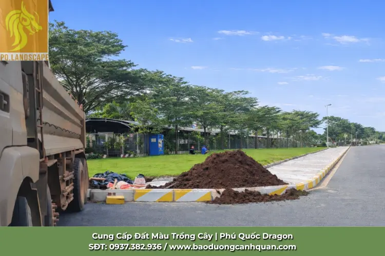 dat-trong-cay-canh-dong-nai.jpg.webp