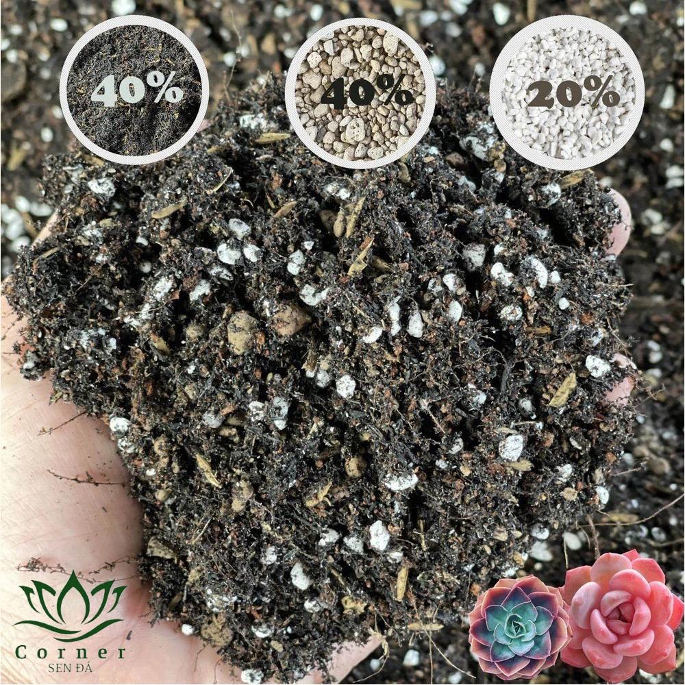 Đất trồng sen đá trộn sẵn.jpg