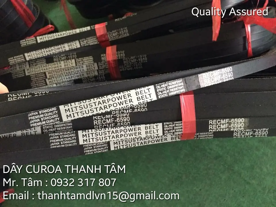 day curoa rang a.webp