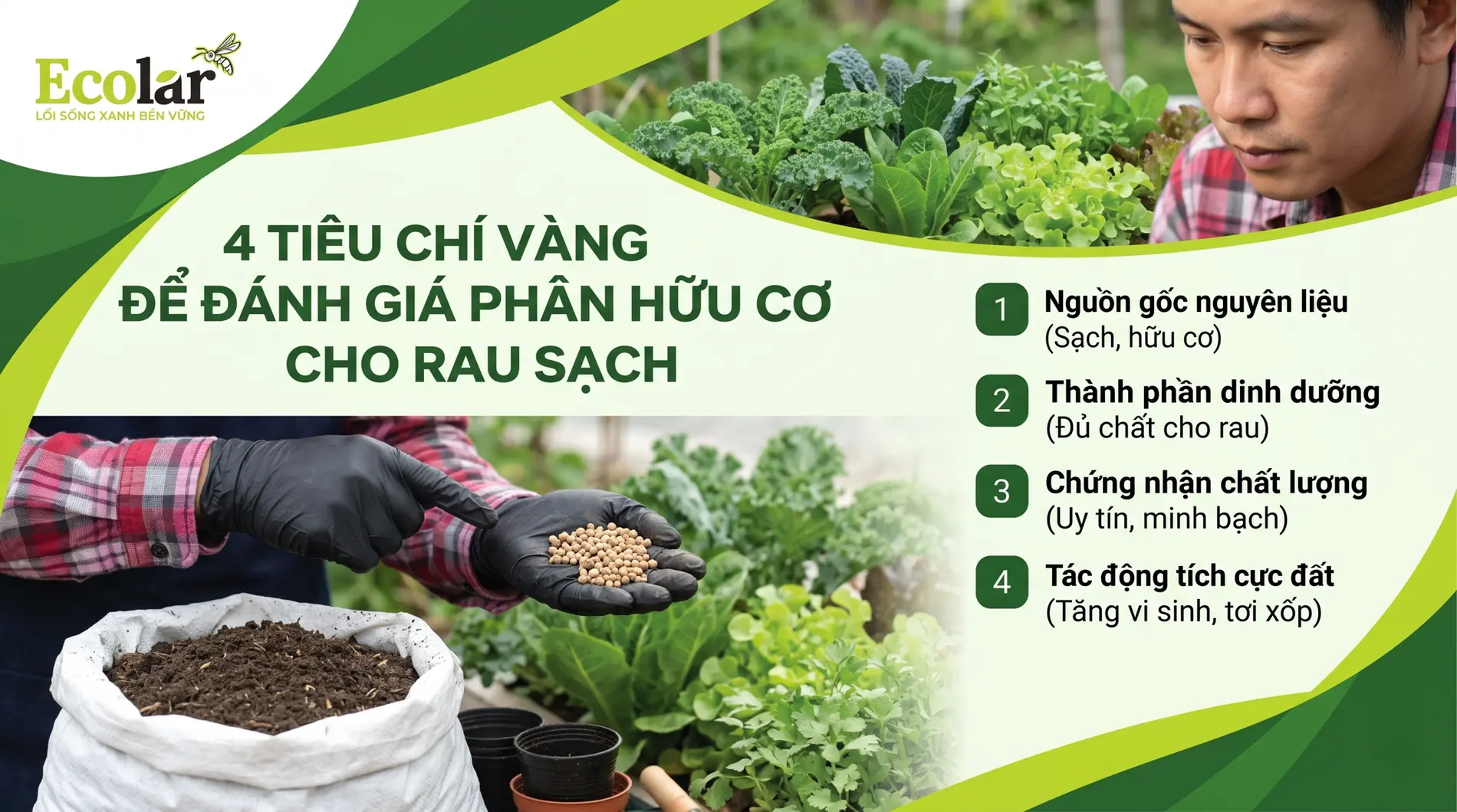 -de-danh-gia-phan-huu-co-cho-rau-sach_66831b7b665f4d75b79736cdc597ab39.webp