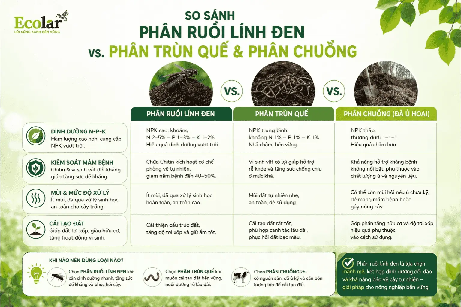 -den-voi-phan-trun-que-va-phan-chuong_587d2f88d6264be18bb44cdbd66650f4 (1).webp