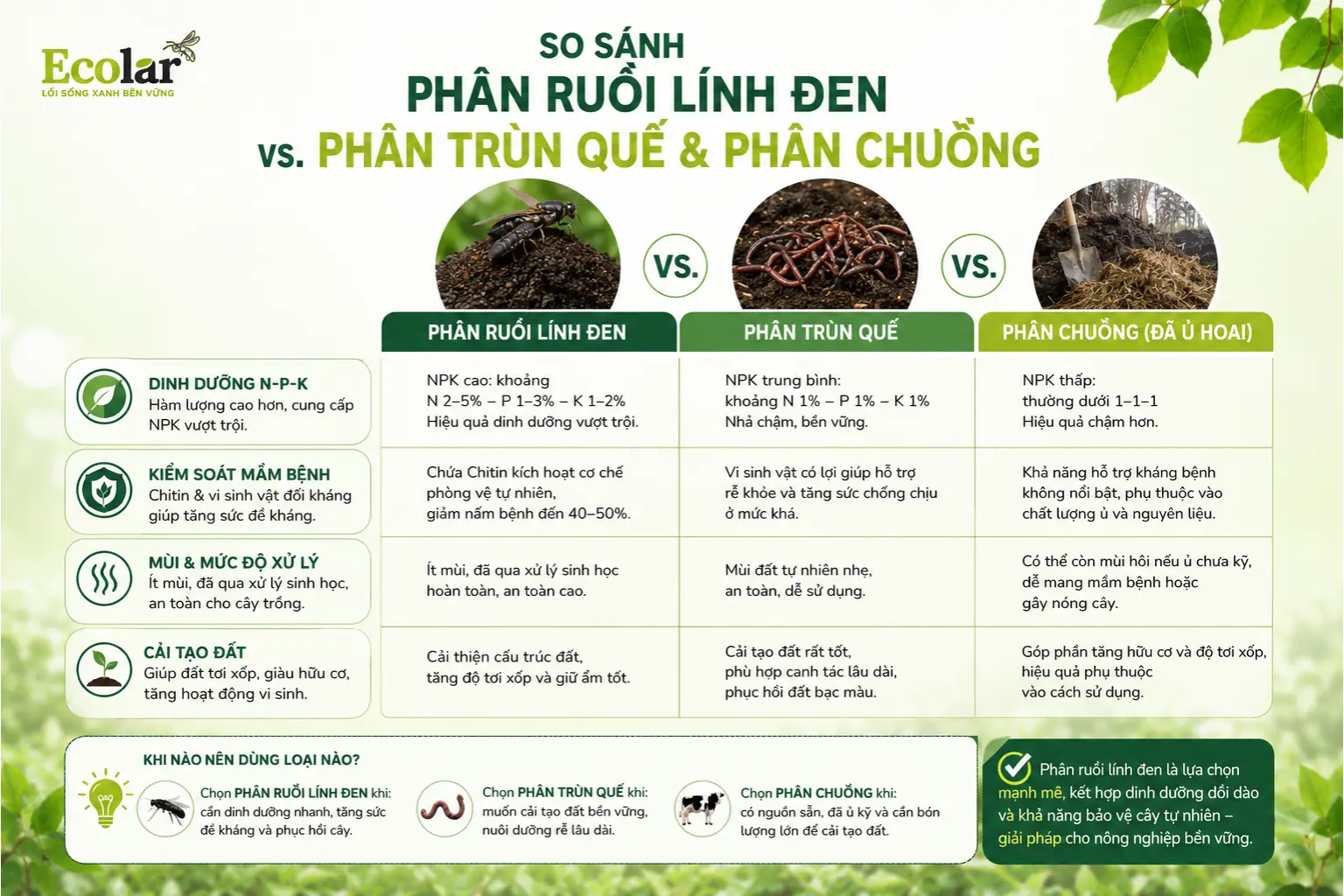 -den-voi-phan-trun-que-va-phan-chuong_587d2f88d6264be18bb44cdbd66650f4.webp
