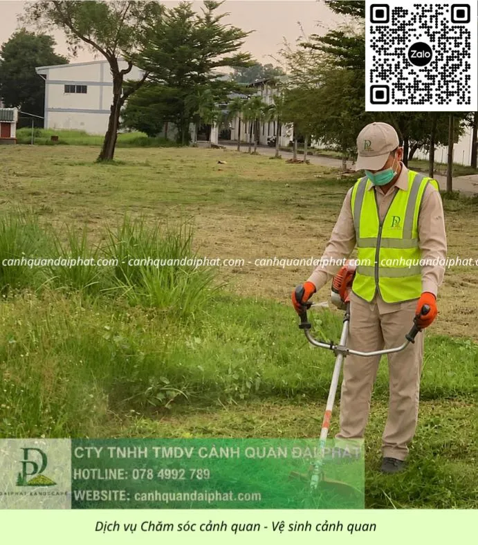Dịch vụ Bảo dưỡng cảnh quan cắt cỏ doanh nghiệp 050626 2.webp