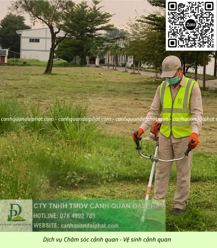 Dịch vụ Bảo dưỡng cảnh quan cắt cỏ doanh nghiệp 050626 2.webp