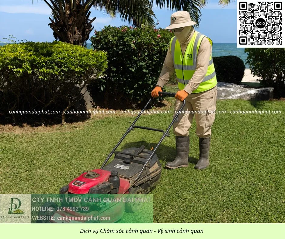 Dịch vụ Bảo dưỡng cảnh quan cắt cỏ doanh nghiệp 050626 5.webp