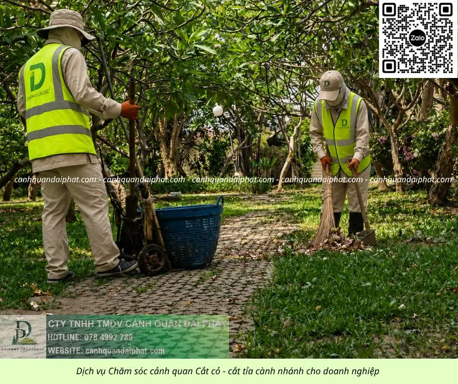 Dịch vụ chăm sóc cây xanh - cắt cỏ doanh nghiệp đồng nai 270526 2.webp