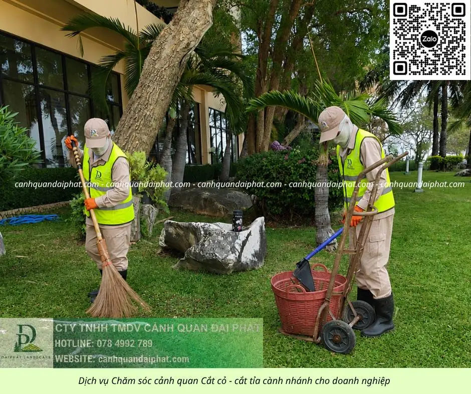 Dịch vụ chăm sóc cây xanh - cắt cỏ doanh nghiệp đồng nai 270526 3.webp