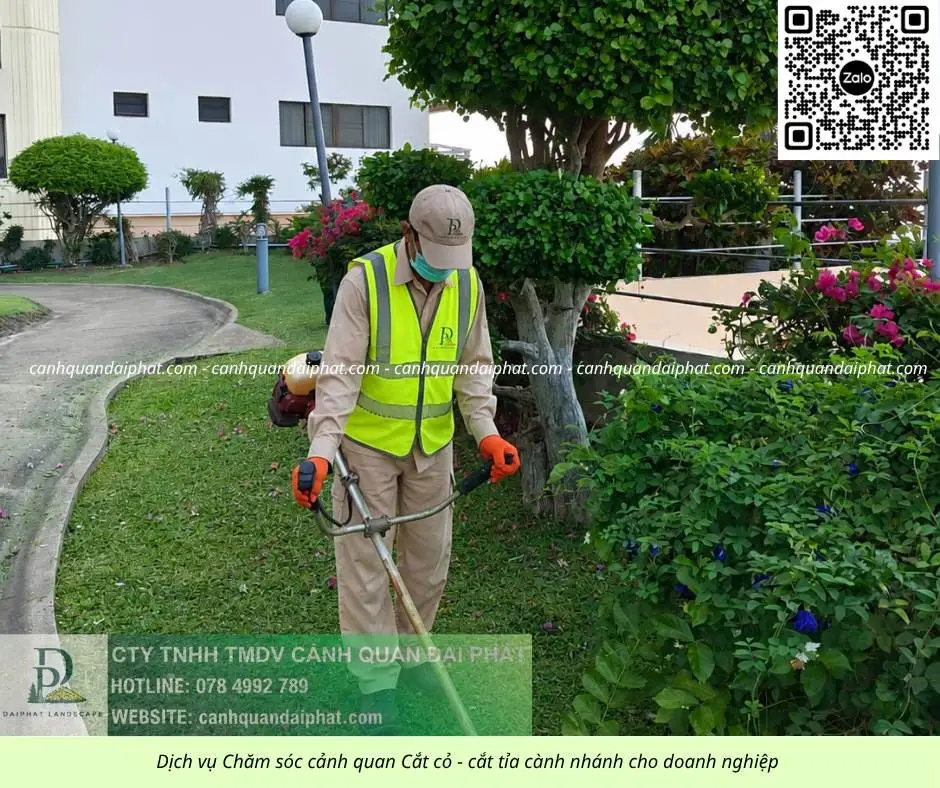 Dịch vụ chăm sóc cây xanh - cắt cỏ doanh nghiệp đồng nai 270526 6.webp