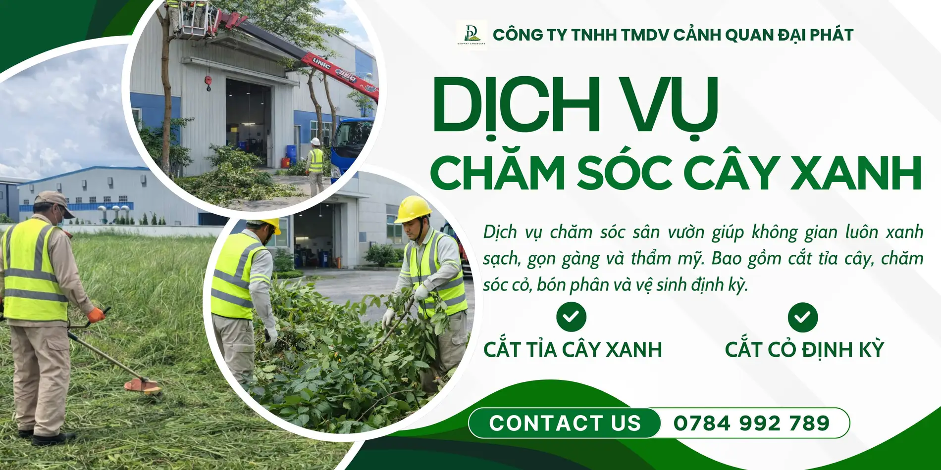 dịch vụ cưa cây cắt cỏ 070426 3.webp