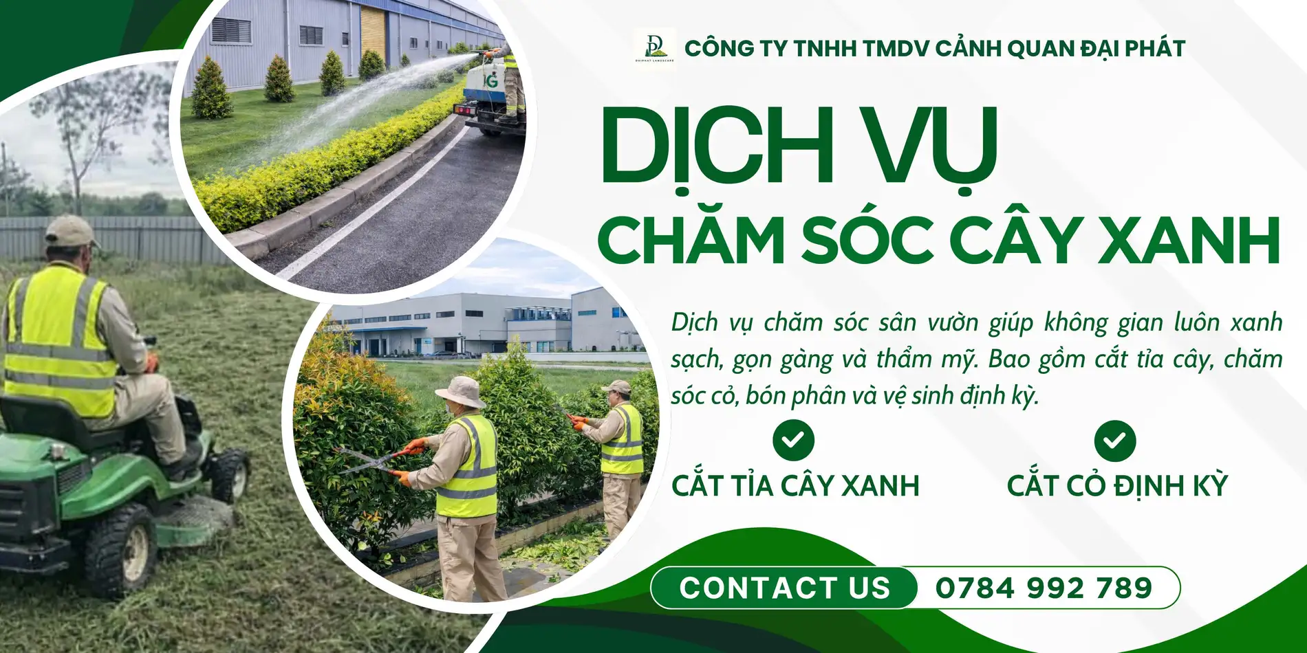 dịch vụ cưa cây cắt cỏ 070426 4.webp